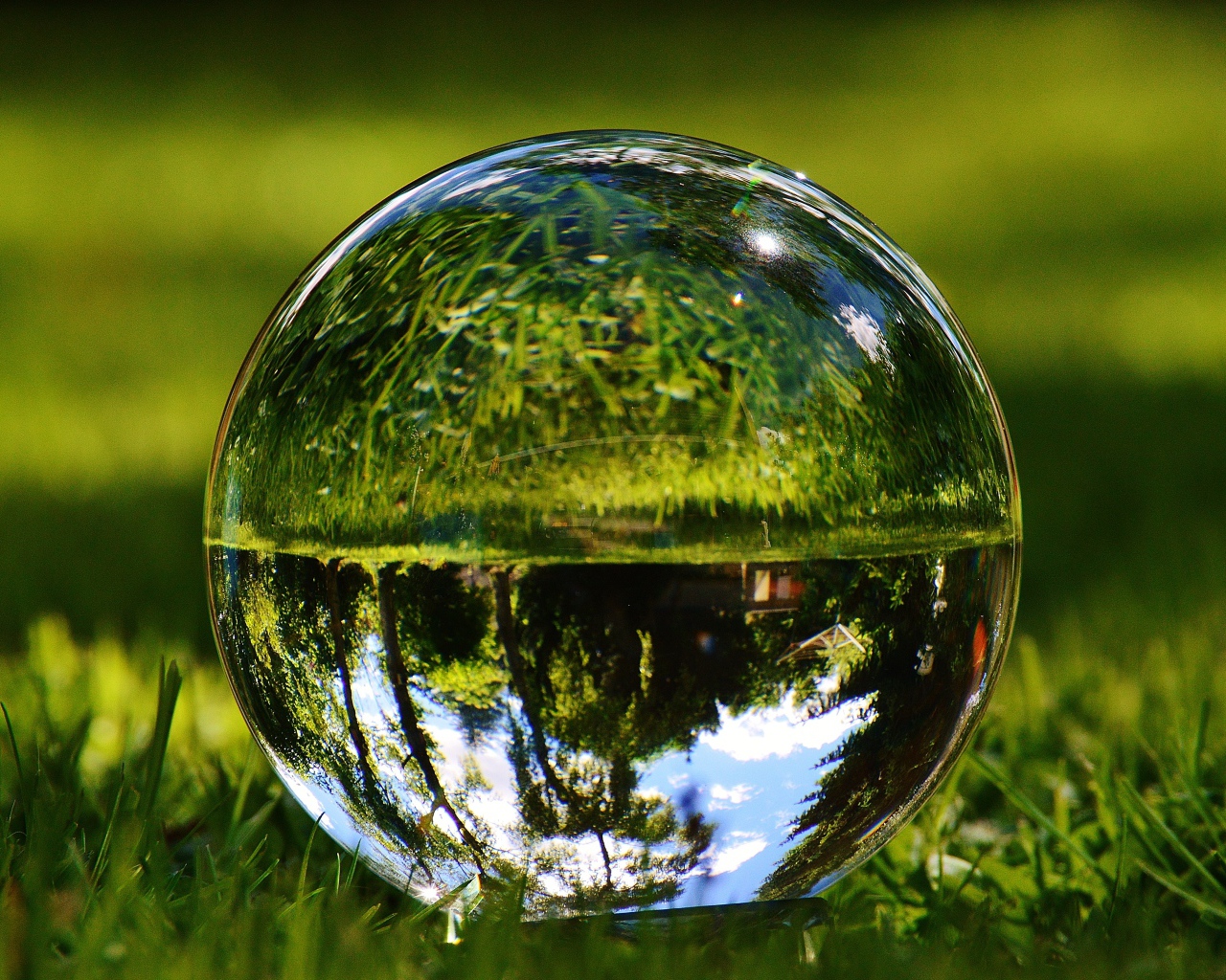 Стеклянный шар  водой на зеленой траве