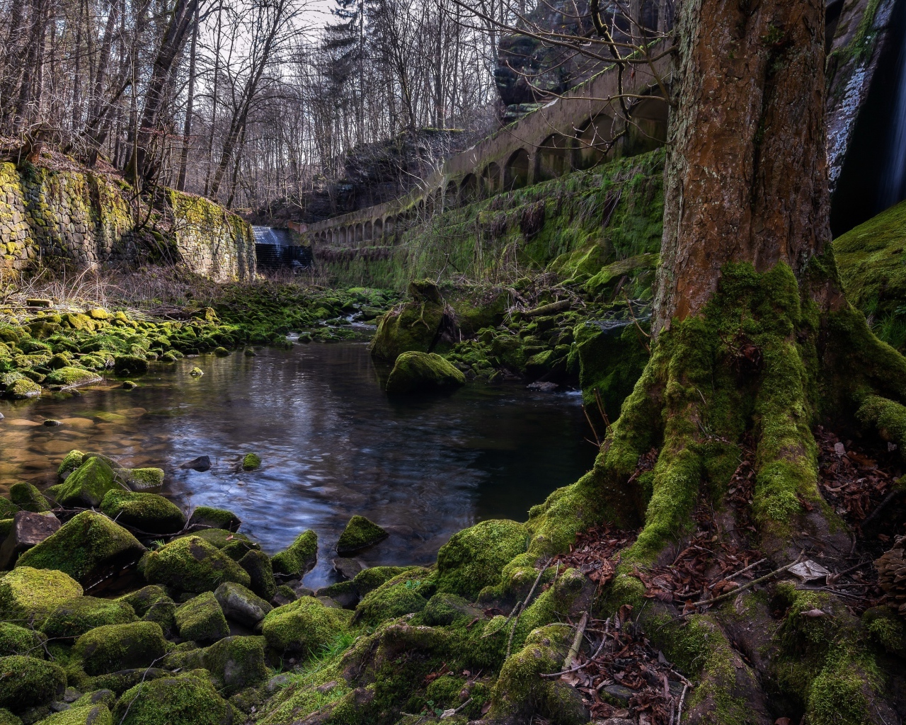 Старый мост у реки в лесу 