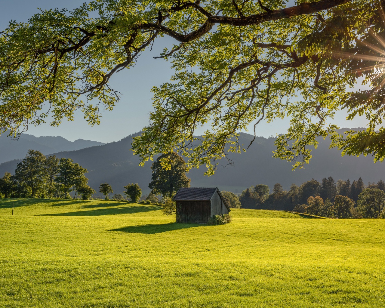 Сарай стоит на зеленой поляне в лучах солнца на фоне гор