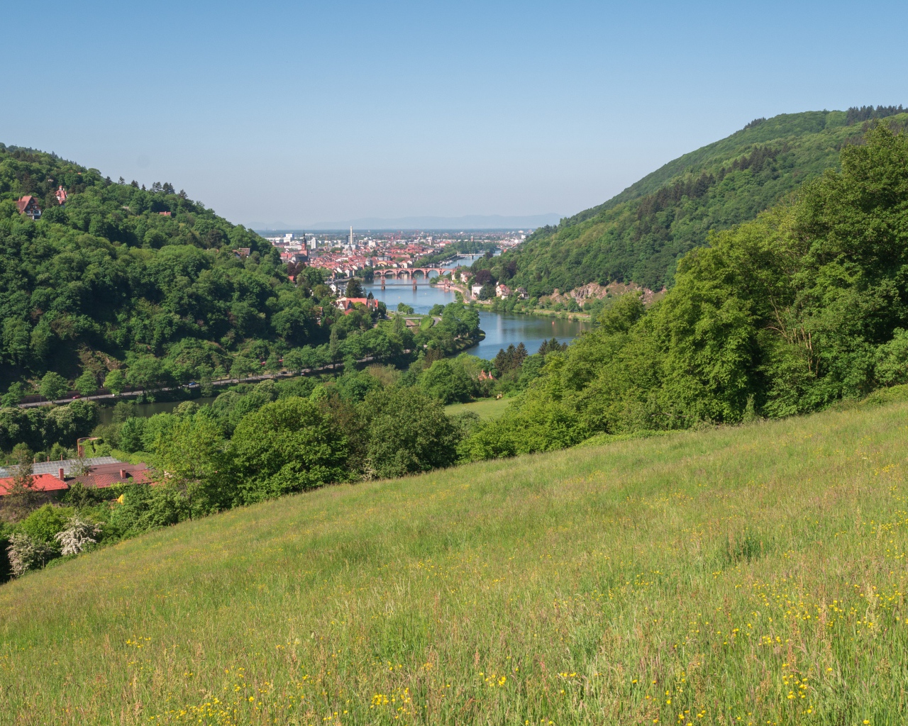 Вид с зеленого холма на реку 