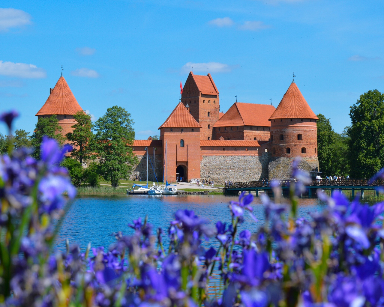 Вид на старую крепость у озера с цветами ириса