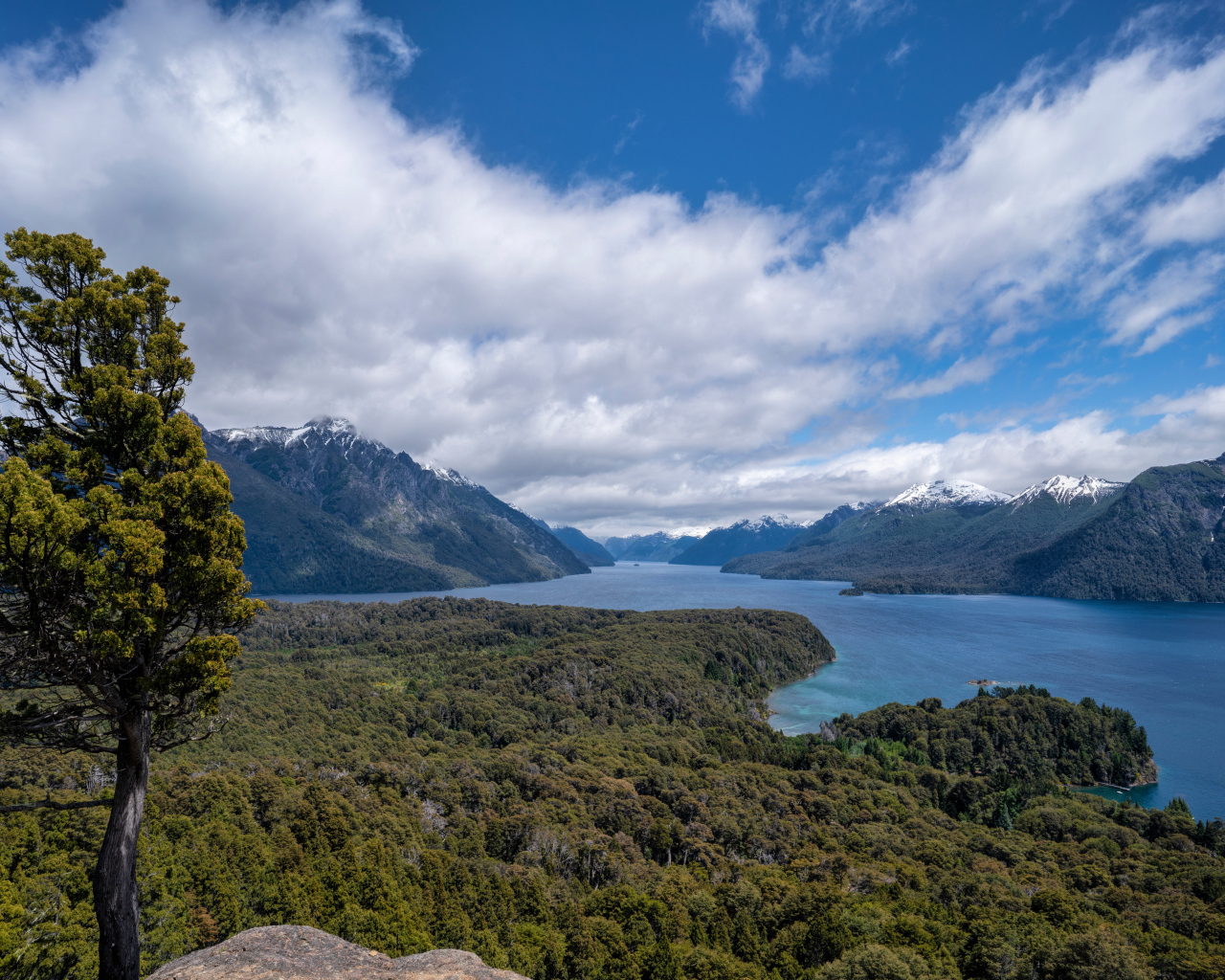 Красивый вид на реку под голубым небом с белыми облаками