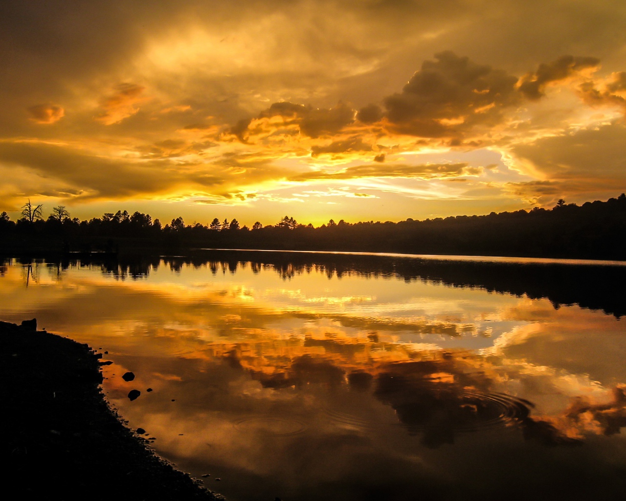 Красивый рассвет над спокойной рекой 
