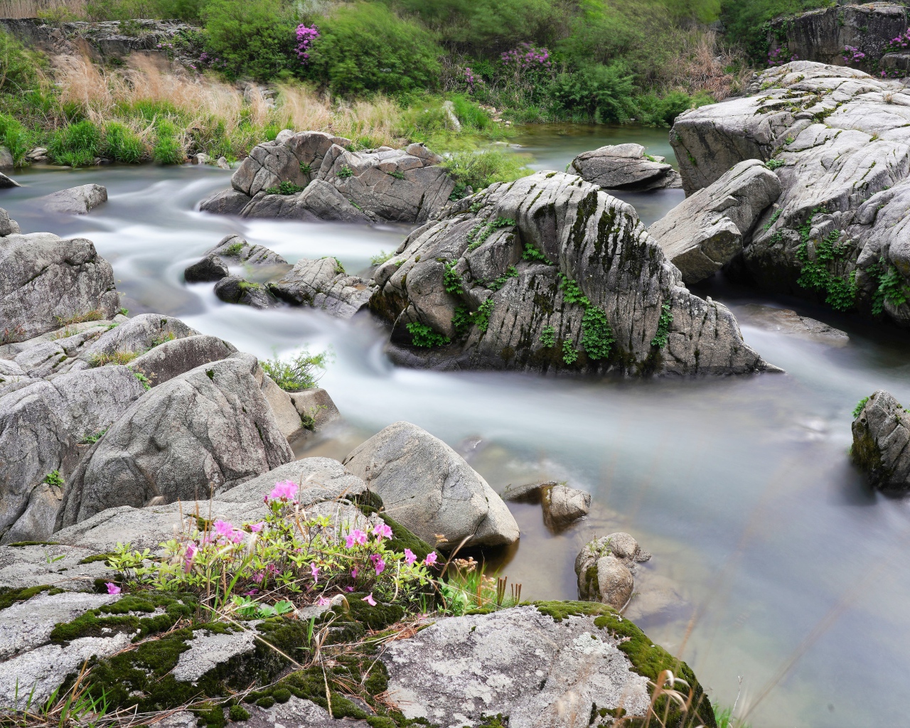Большие камни в горной реке 