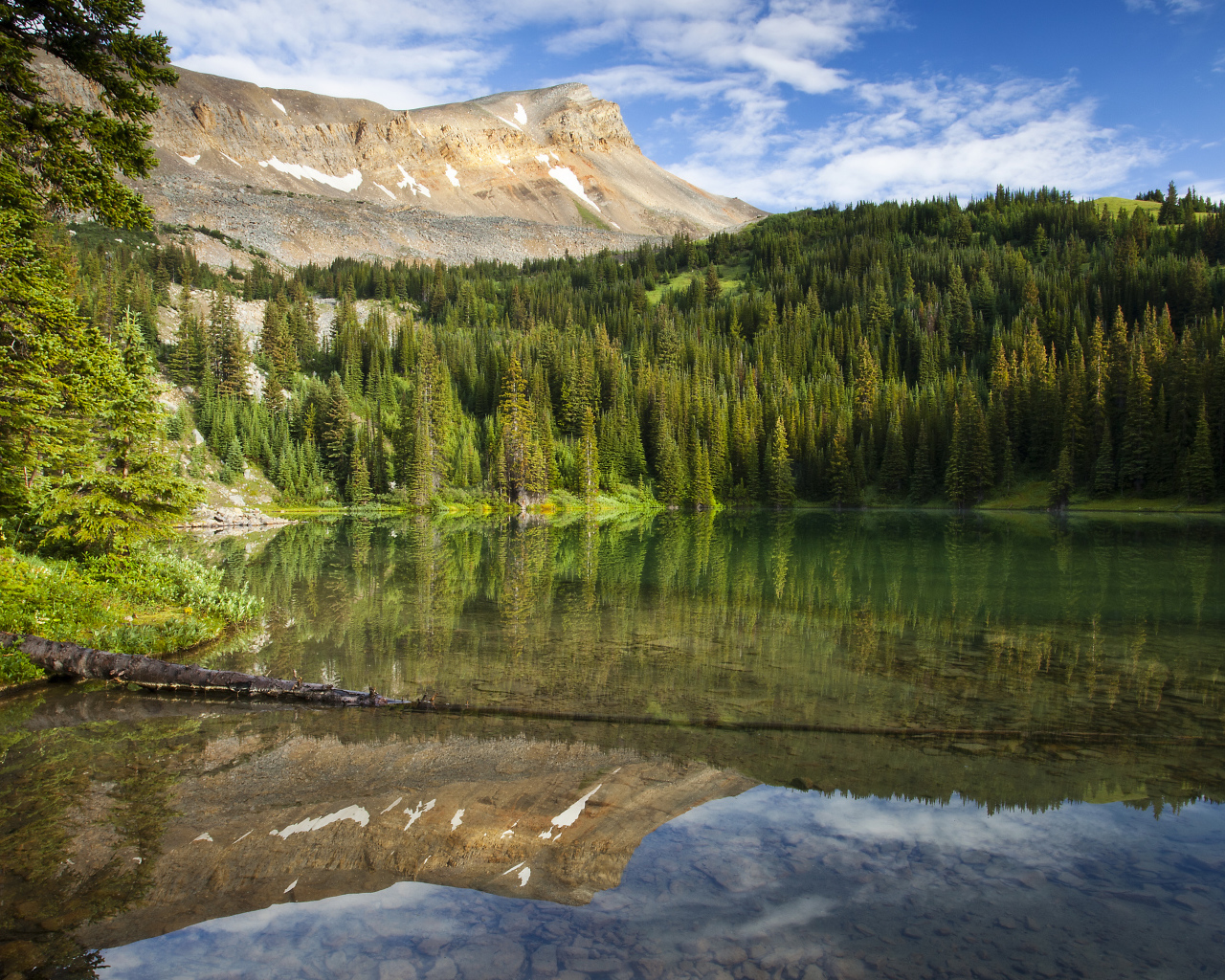 Спокойная чистая вода в озере под голубым небом у хвойного леса 