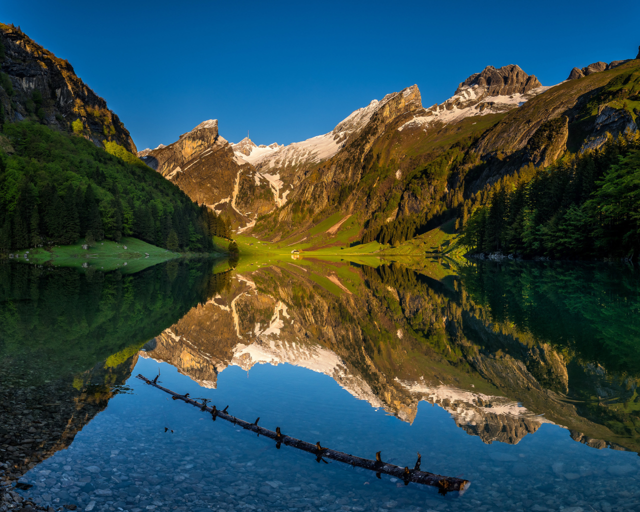 Чистая вода в озере у подножия гор, Швейцария 