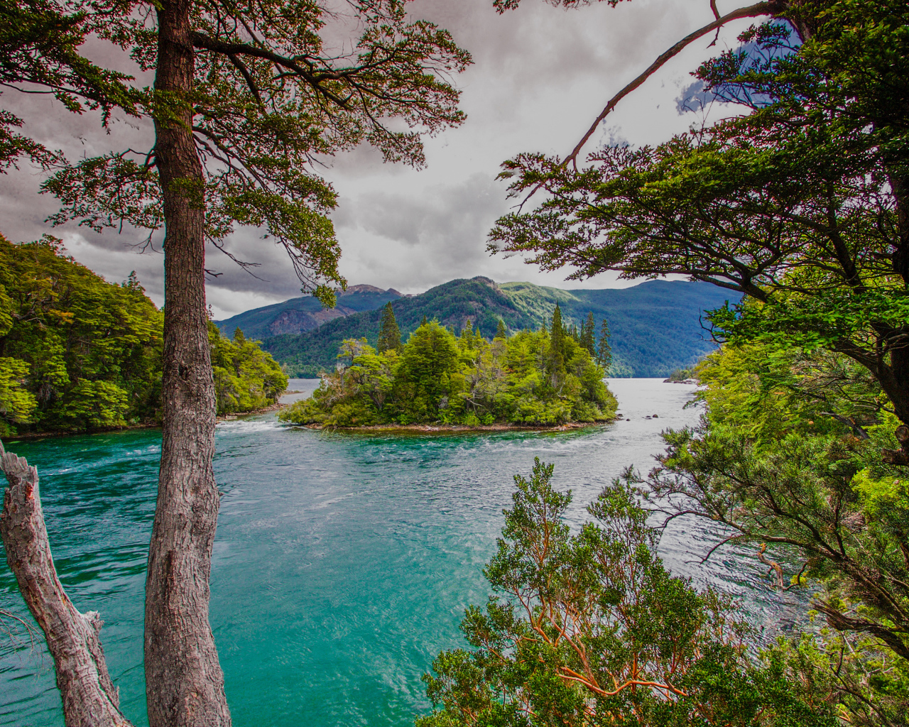 Зеленый остров посередине реки с голубой водой 