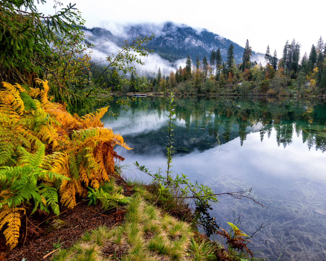 Туман покрывает горы у спокойного озера на рассвете 