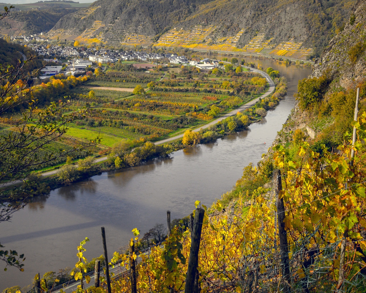 Top view of the river and vineyards