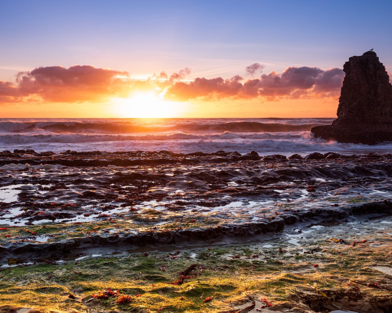 Большой камень в морской воде на рассвете 
