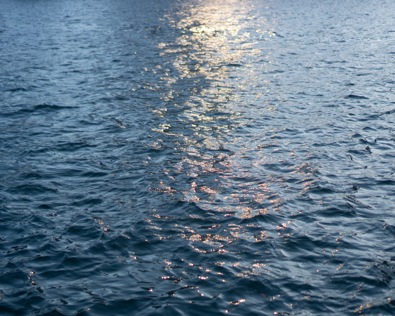 Спокойное море крупным планом