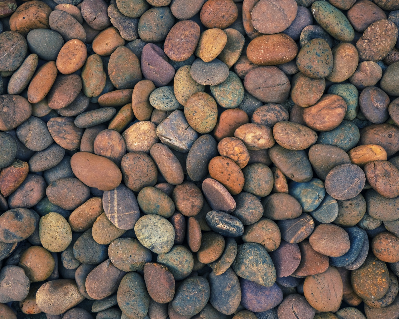 Много мелких морских камней крупным планом