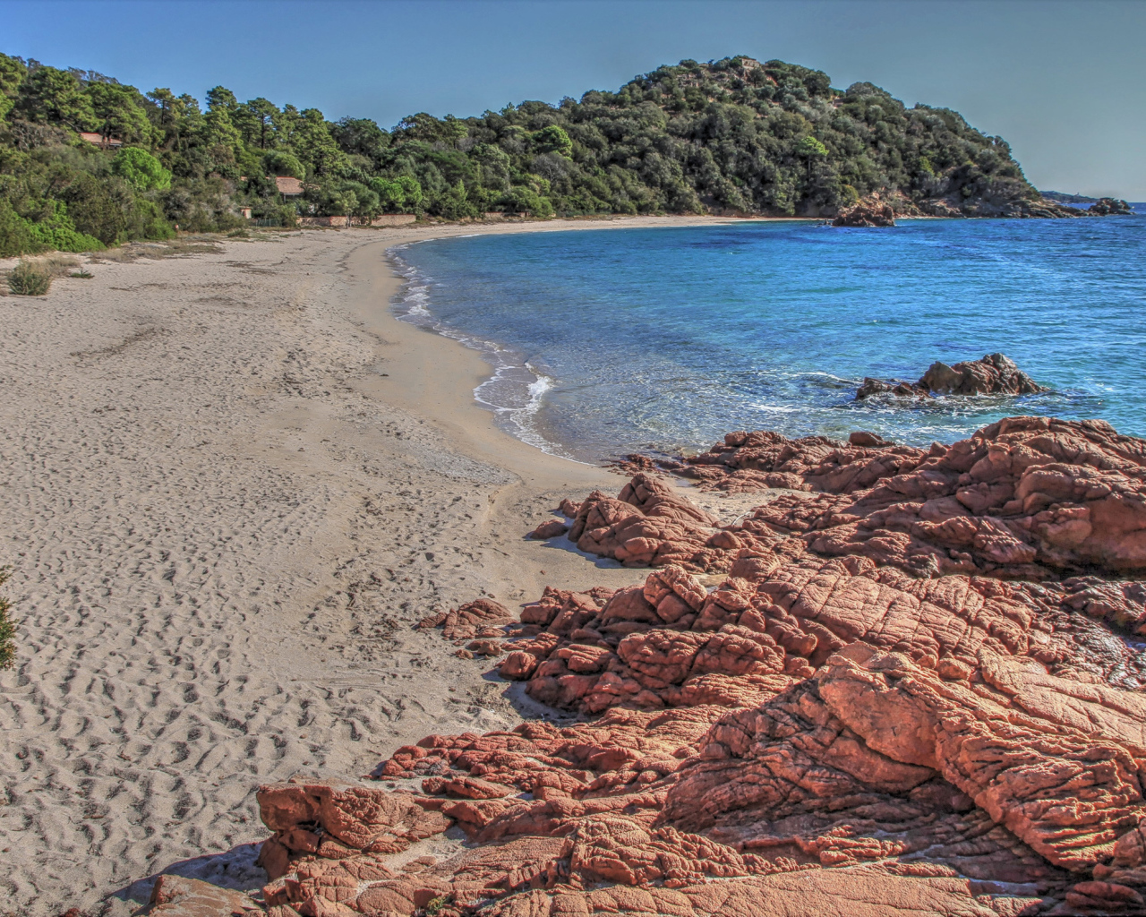 Камни на берегу моря у леса 