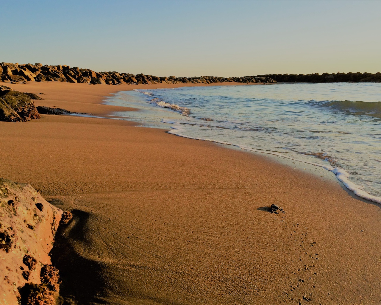 Камни на мокром песке к моря 