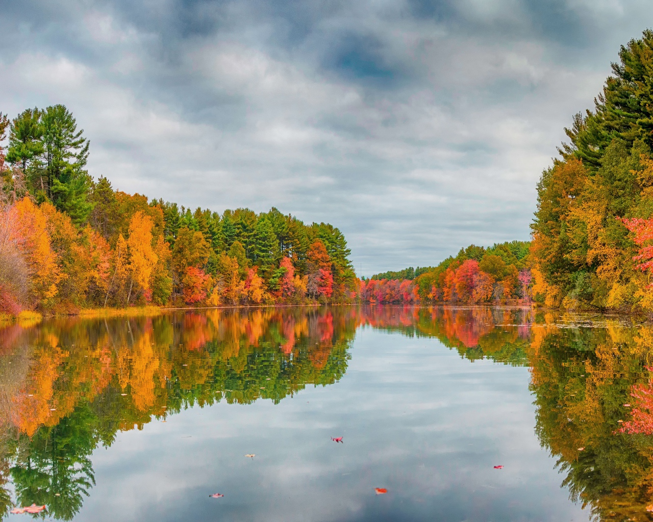 Красивые осенние деревья отражаются в спокойной глади реки 
