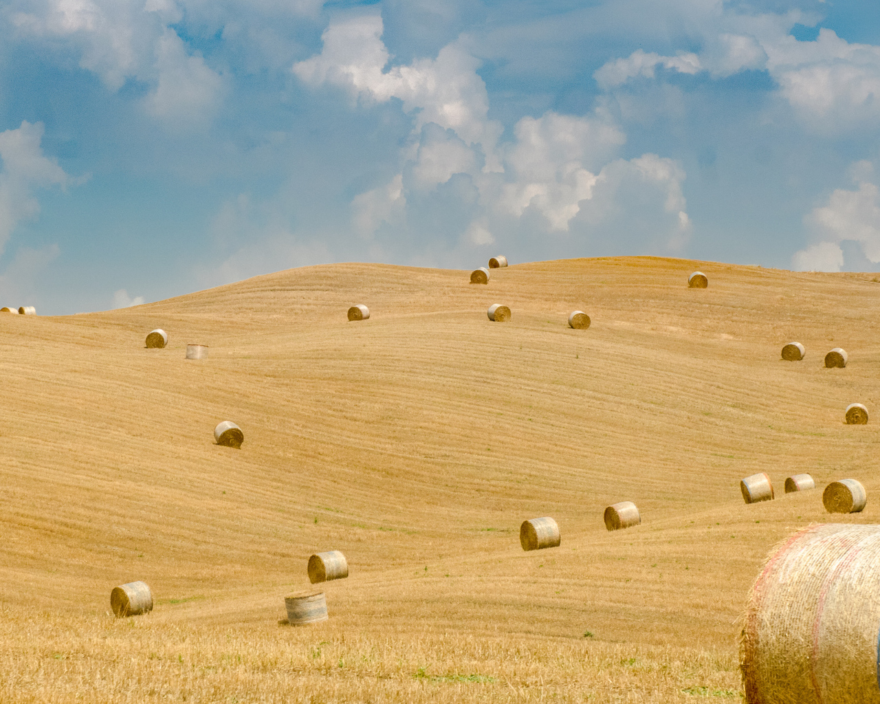 Round hay bales in a field in autumn