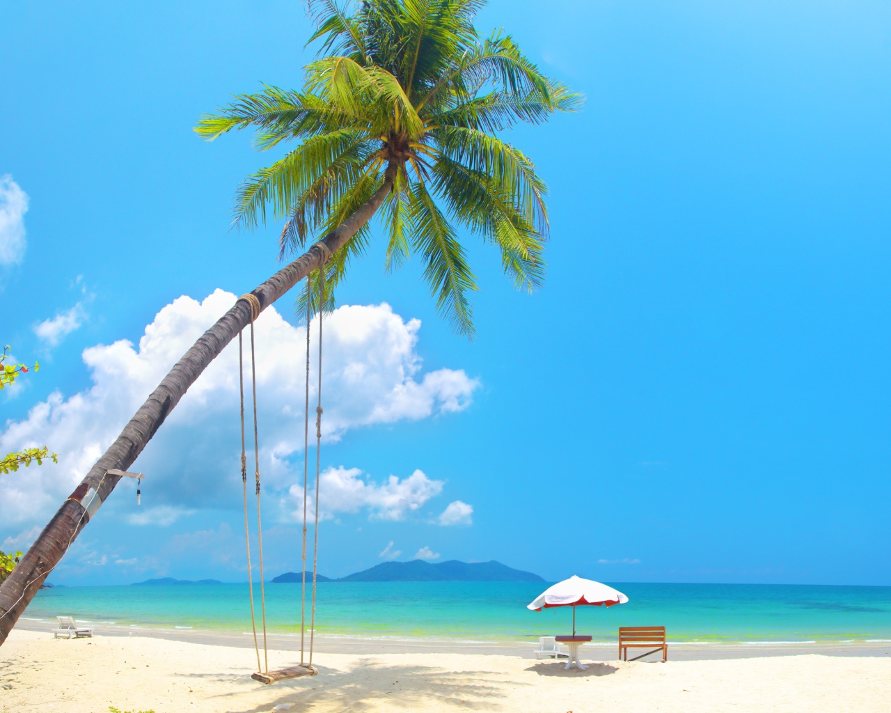 Swing on a palm tree on a white sand beach