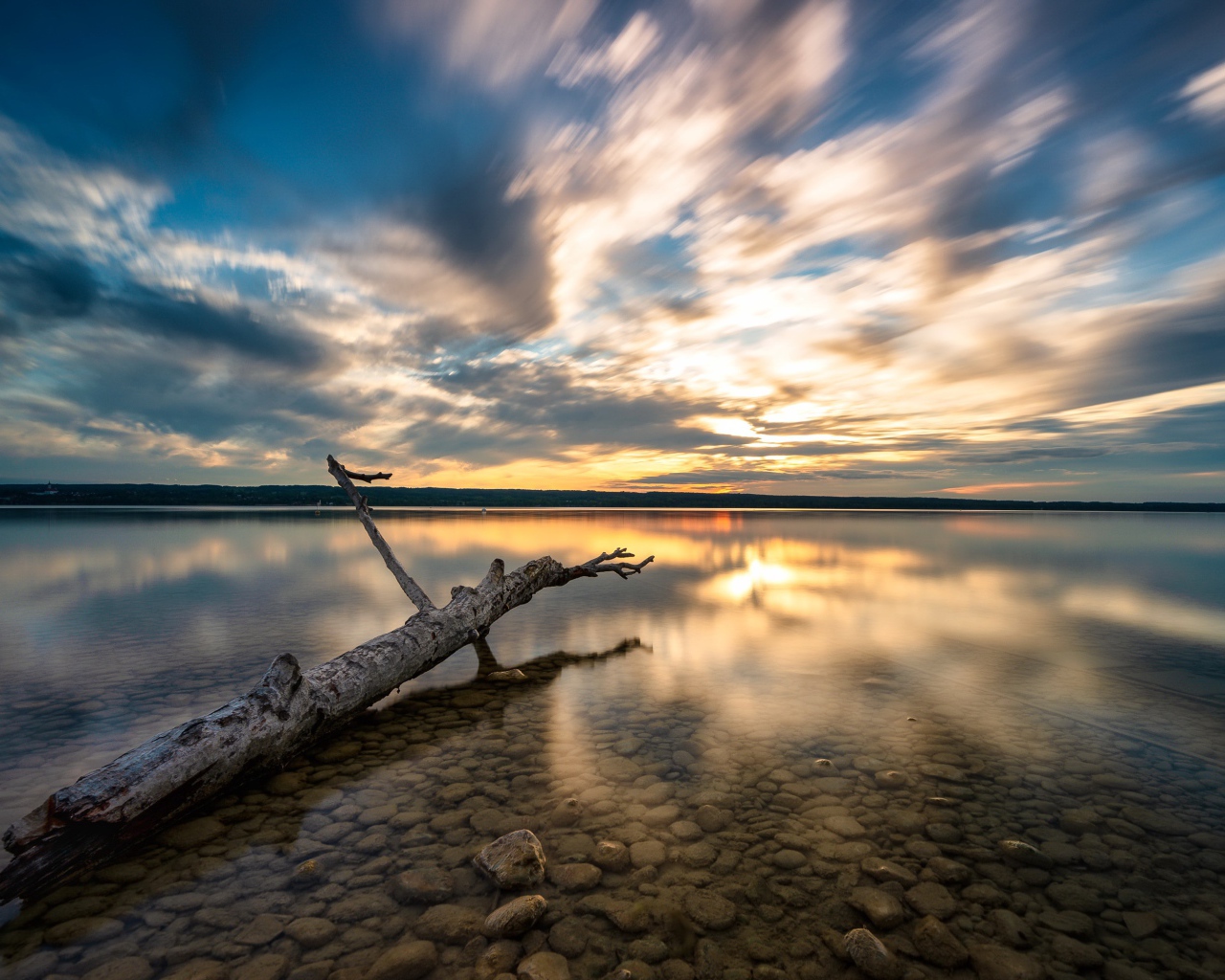 Старое дерево лежит в воде на закате солнца 