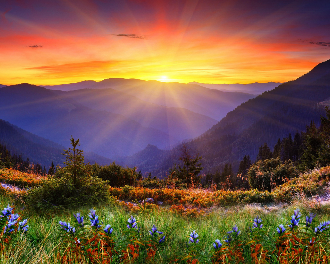 Яркое солнце покрывает вершины гор и красивую природу 