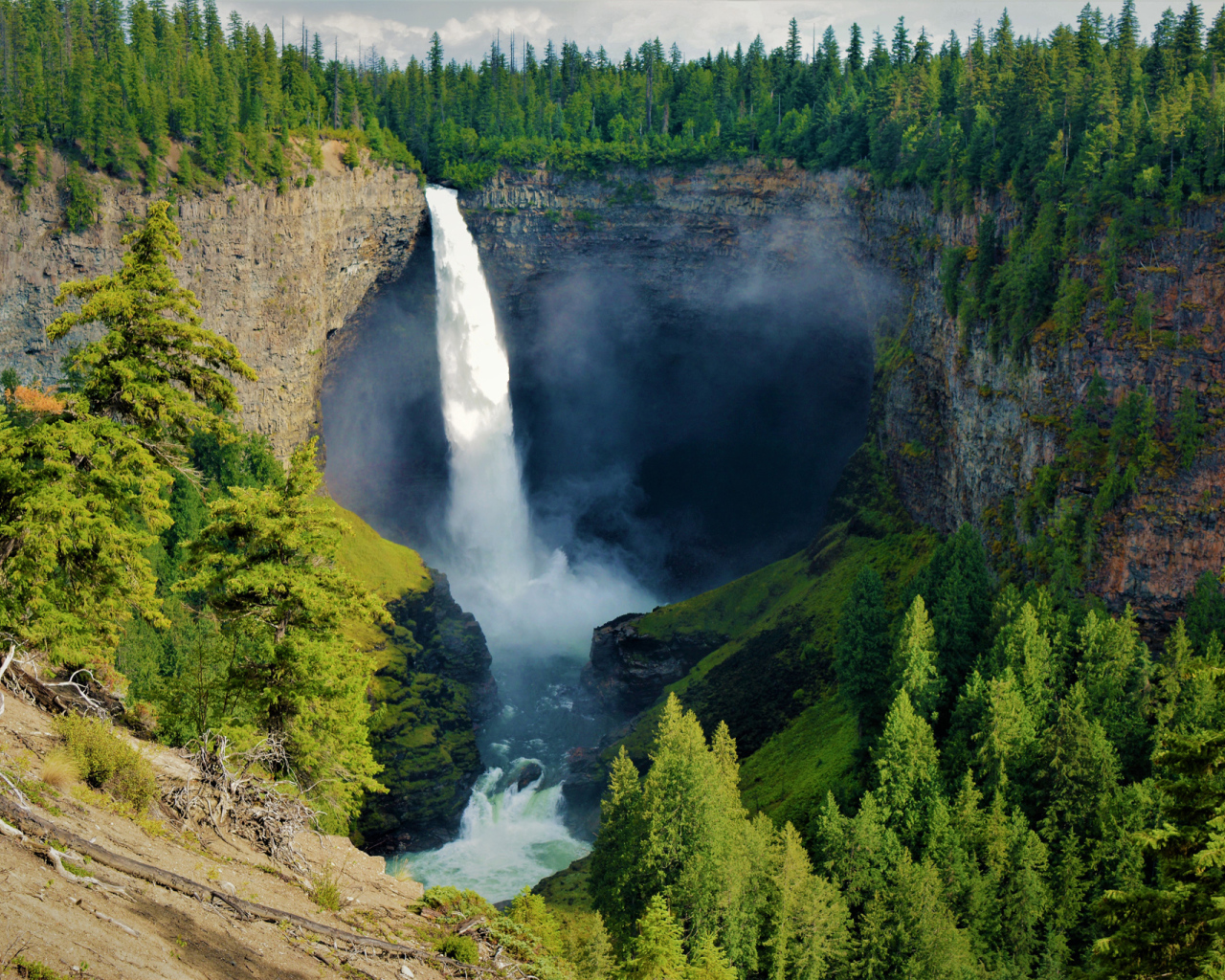 Водопад стекает с утеса в лесу, Канада 
