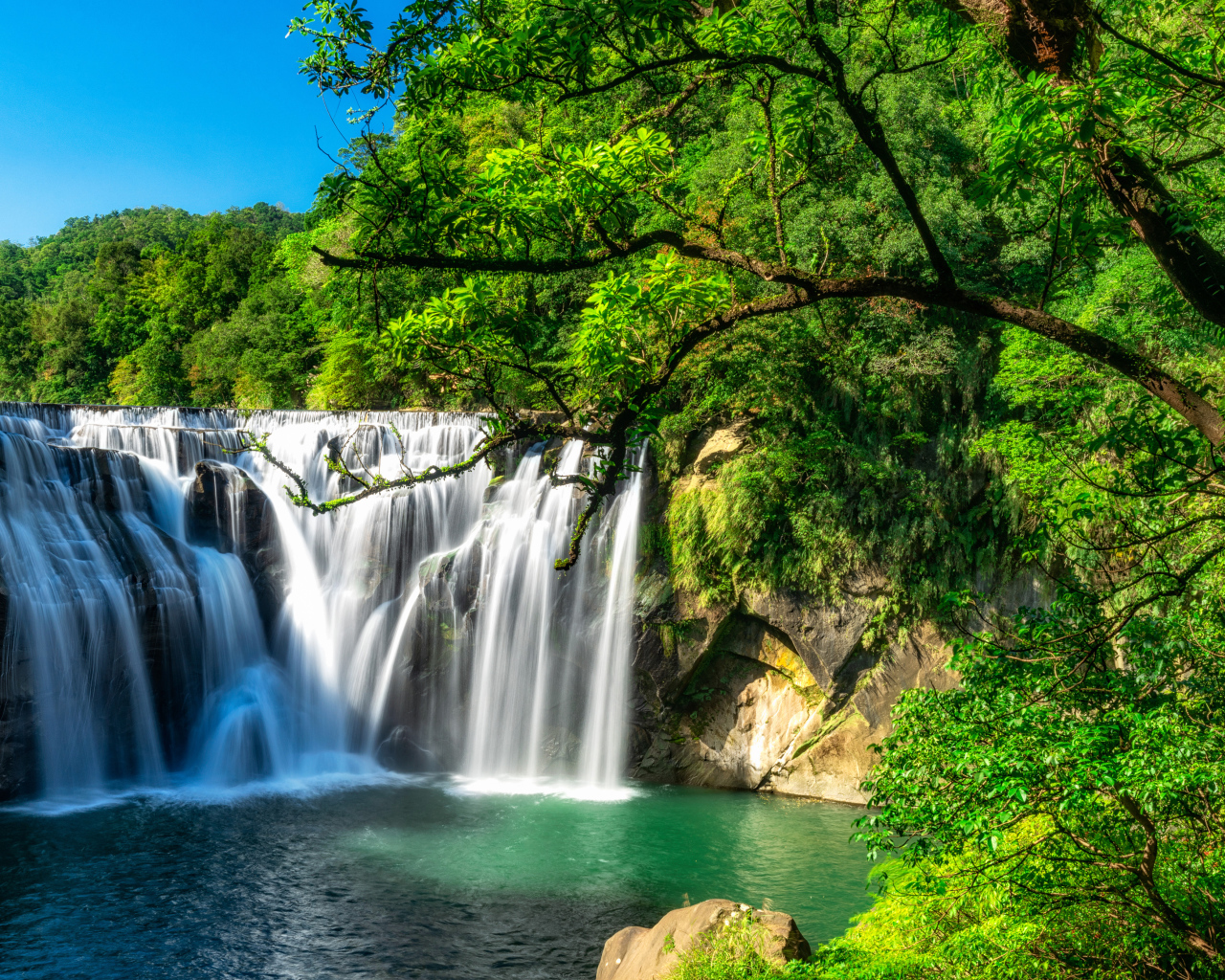 Быстрый водопад стекает со скалы в лесу с зелеными деревьями