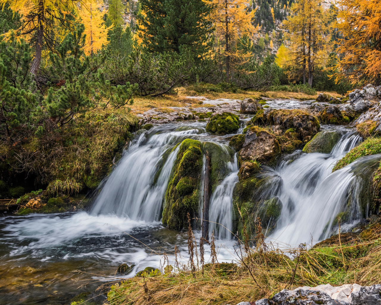 Быстрая вода водопада стекает по камням в осеннем лесу