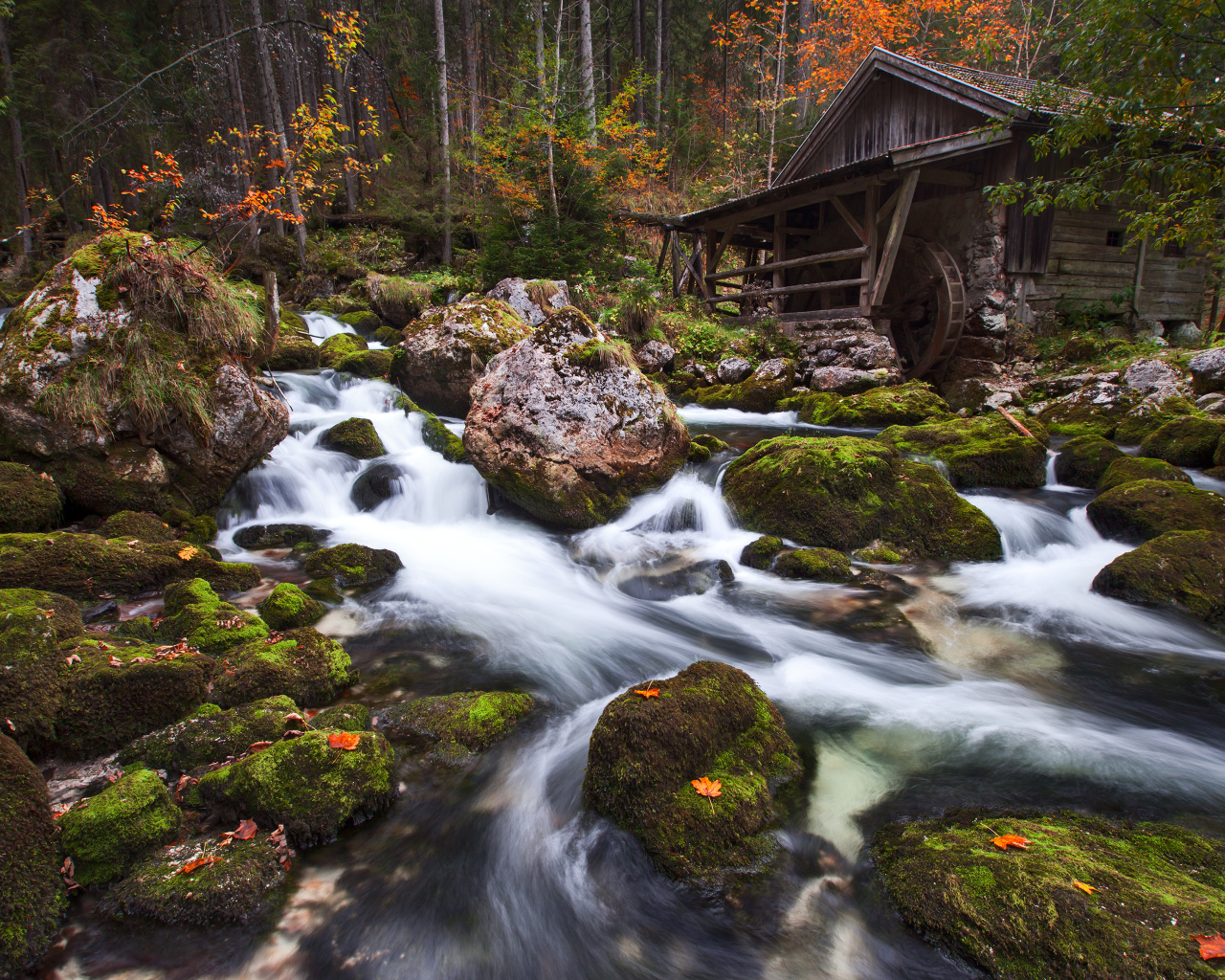Вода стекает по камням в лесу у старого дома