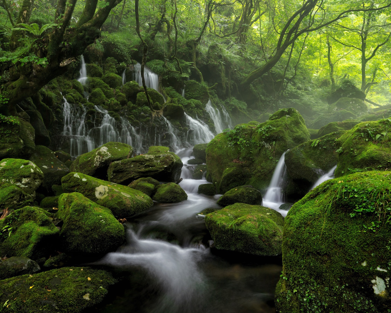 Вода стекает по старым покрытым мхом камням