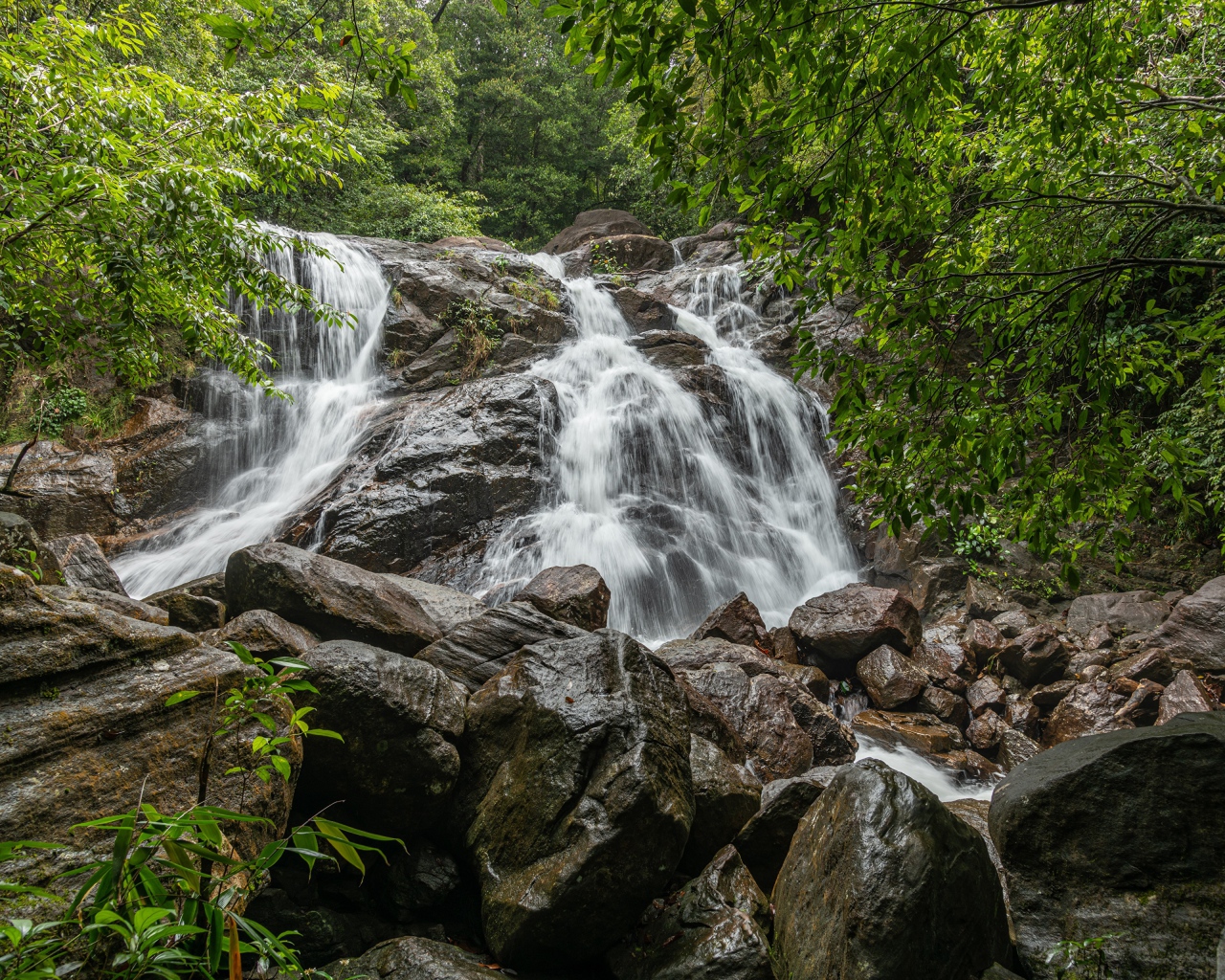 Водопад стекает по большим мокрым камням в лесу 