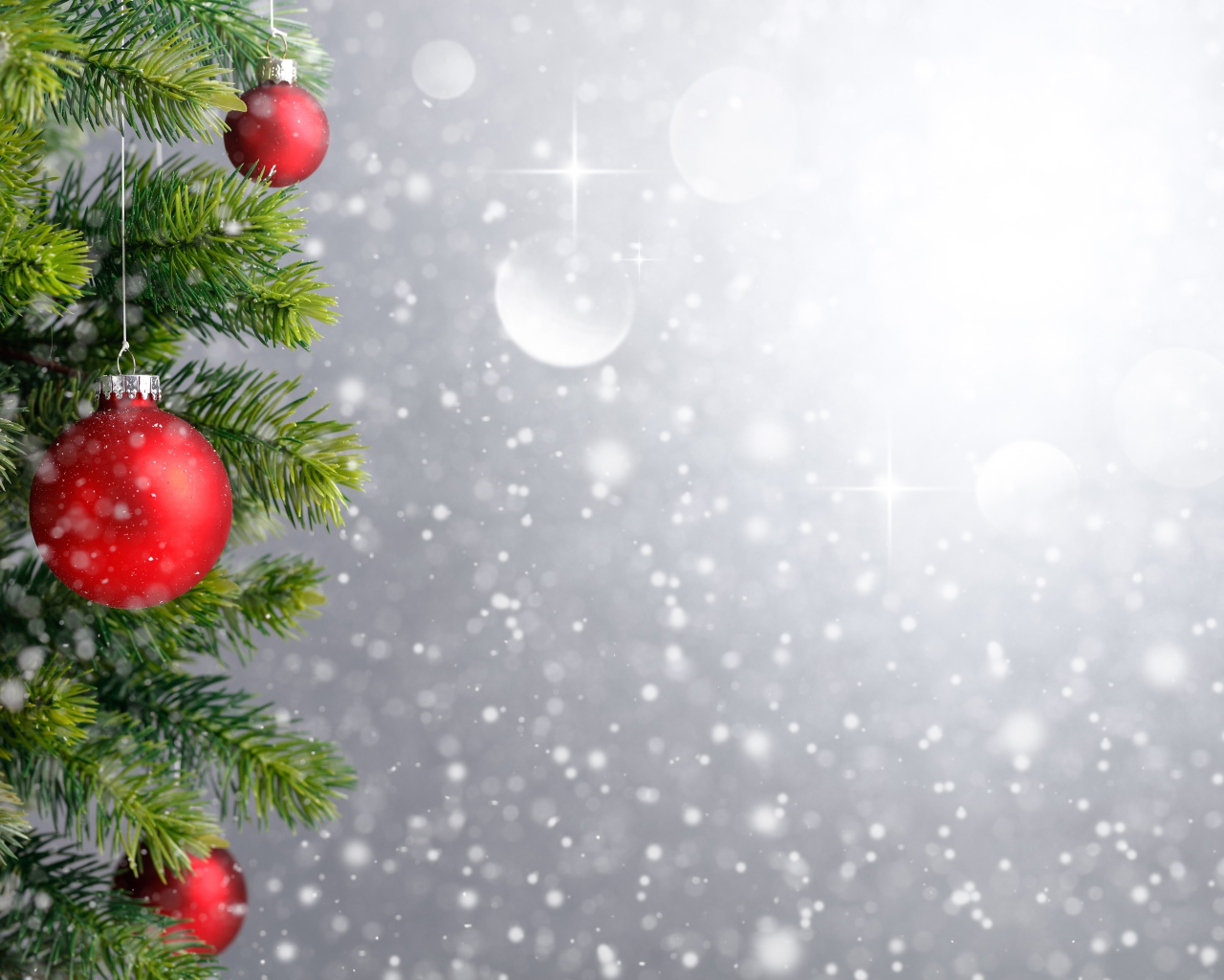 Еловая ветка с красными шариками, фон для новогодней открытки 