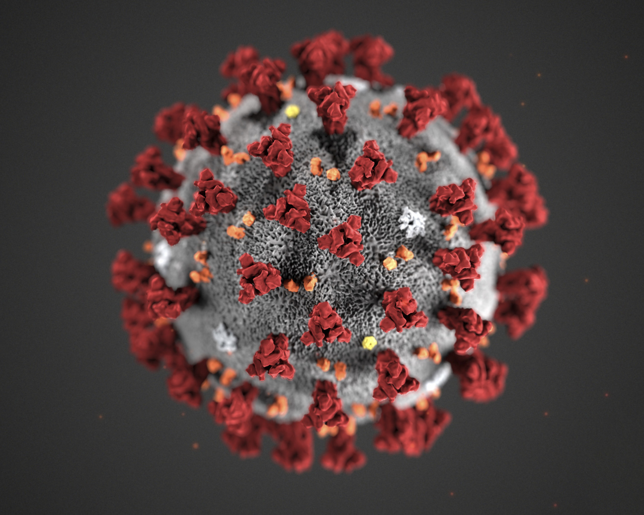 Коронавирус COVID-19 на сером фоне