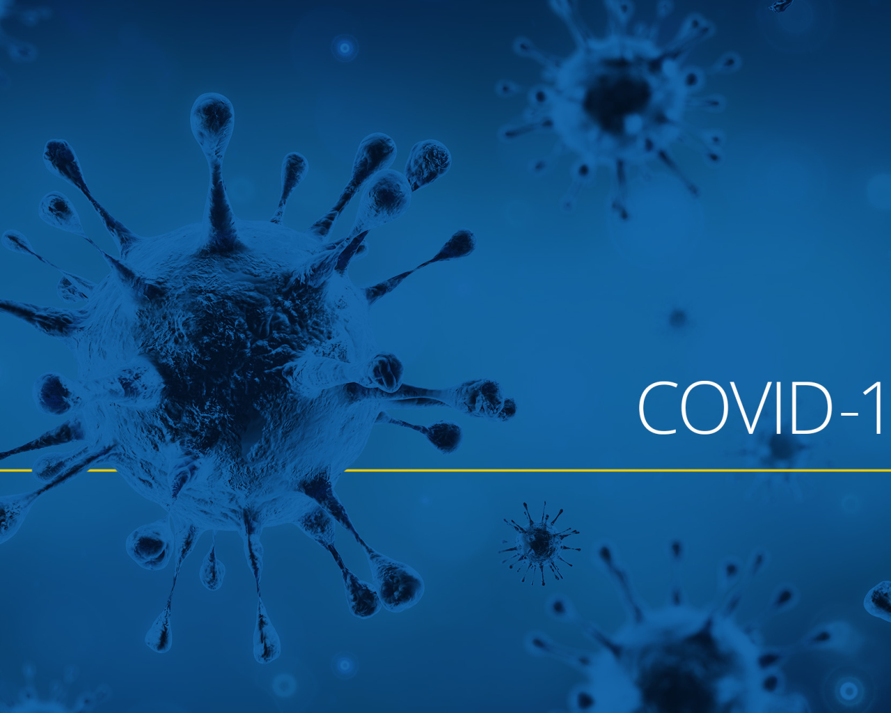 Пандемия коронавирус covid-19, 2020 год 