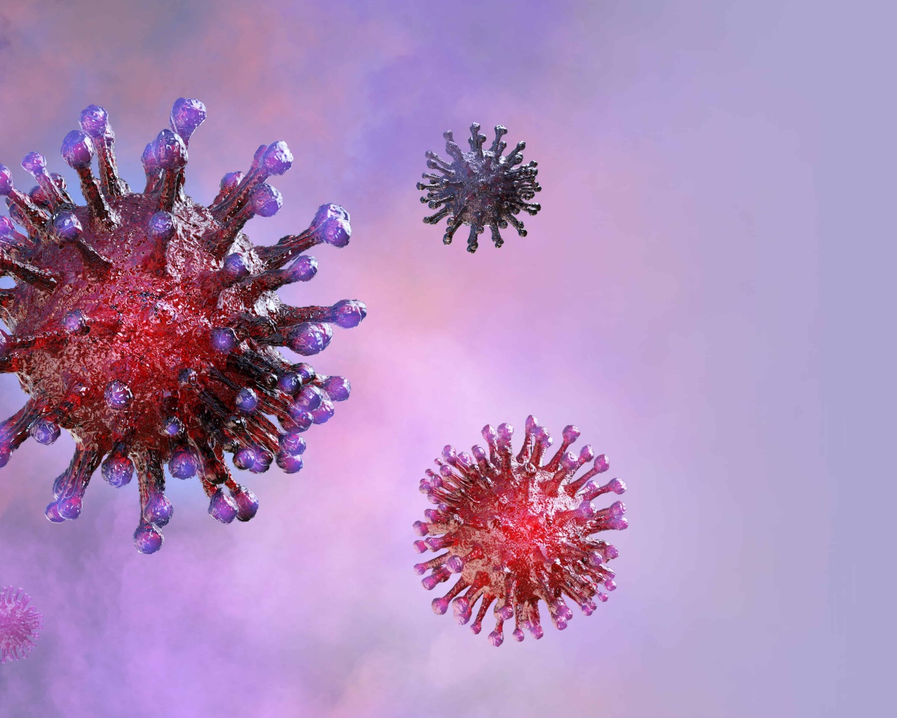 Viruses of coronavirus covid-19 on a purple background