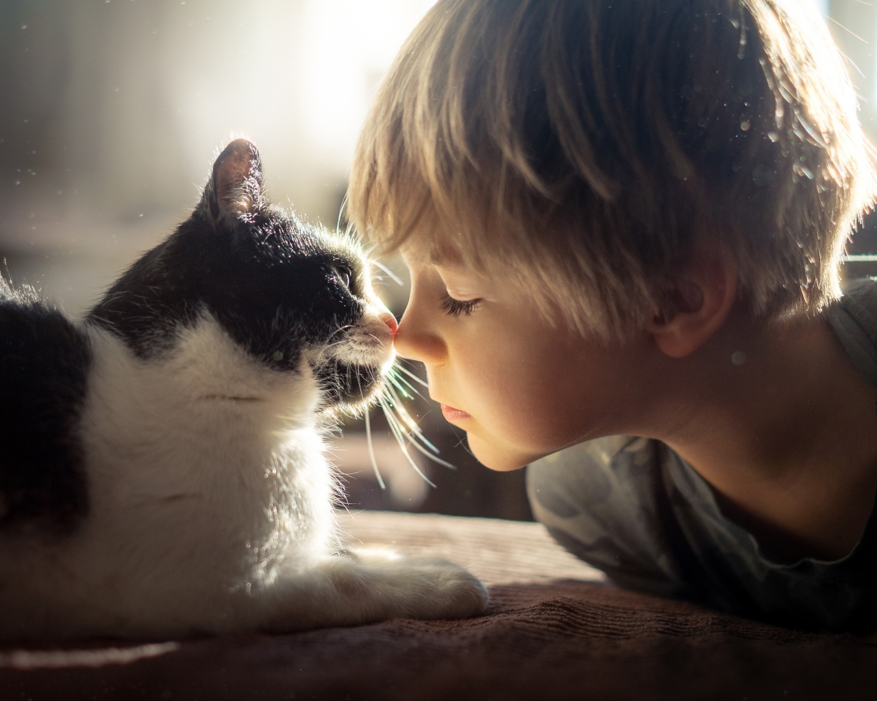 Маленький мальчик лежит с котом 