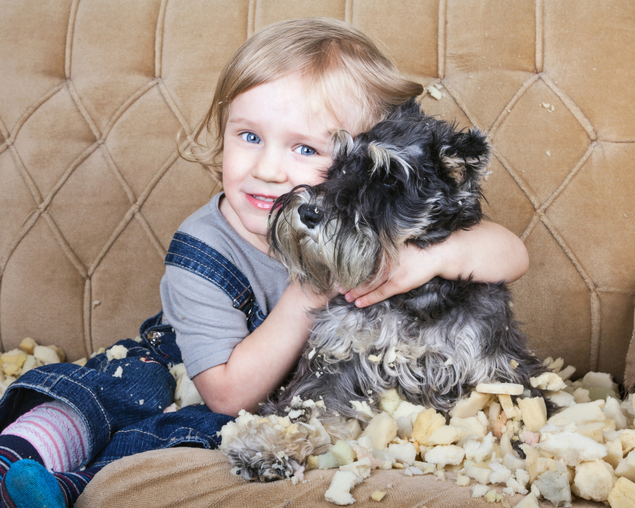 Маленький мальчик сидит на диване с собакой породы Шнауцер