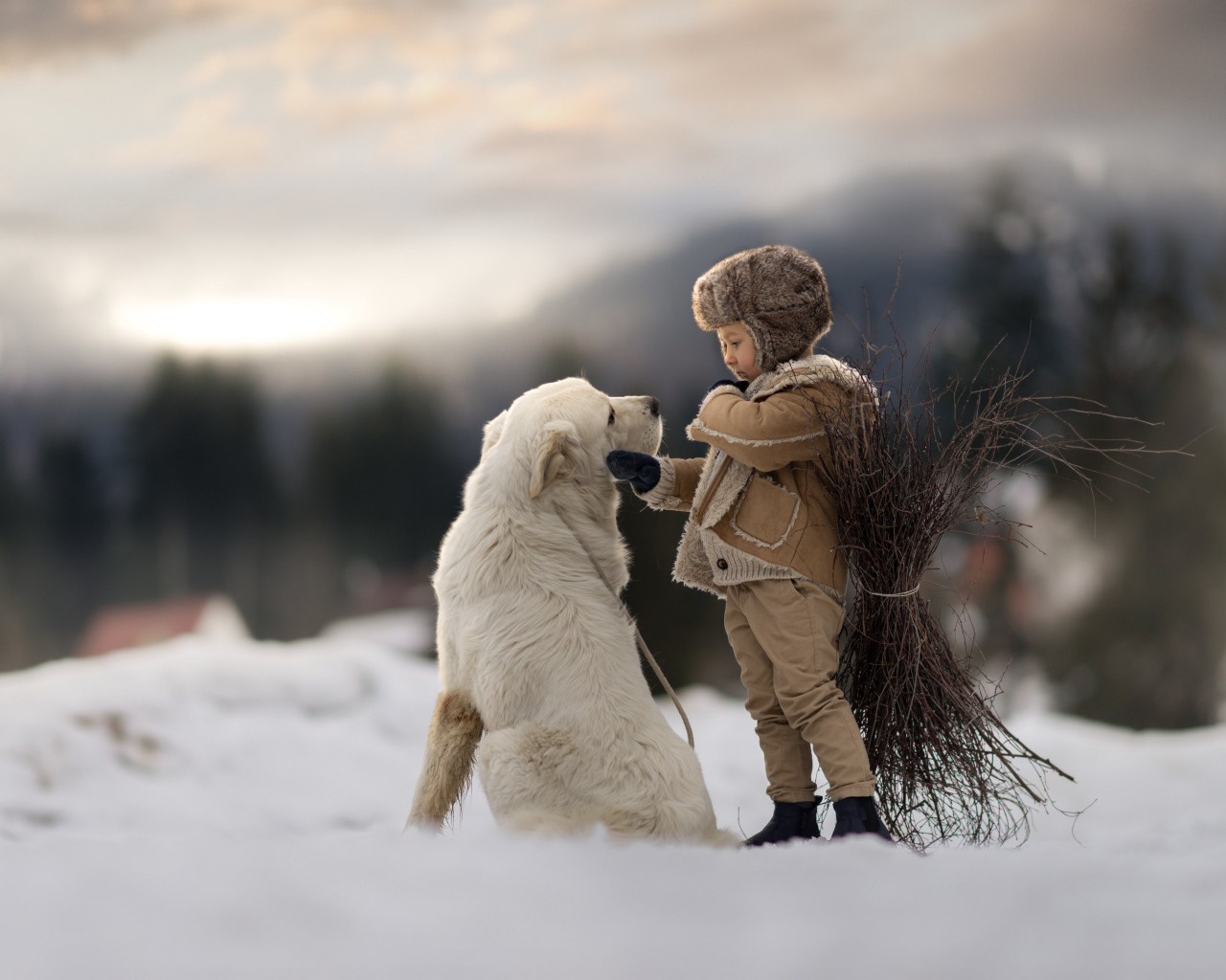 Маленький мальчик с большой белой собакой в лесу 