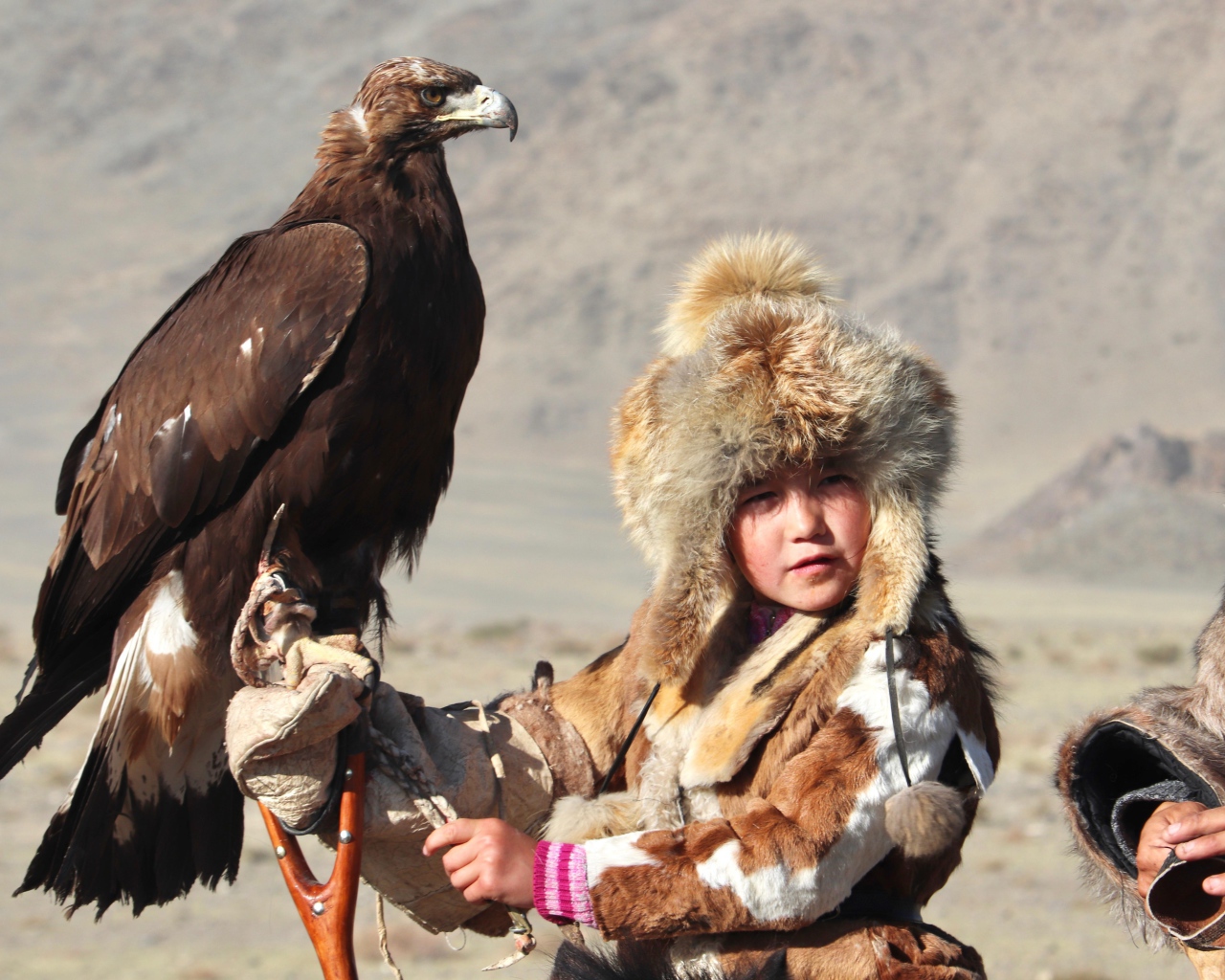 Маленький ребенок на охоте с хищным орлом
