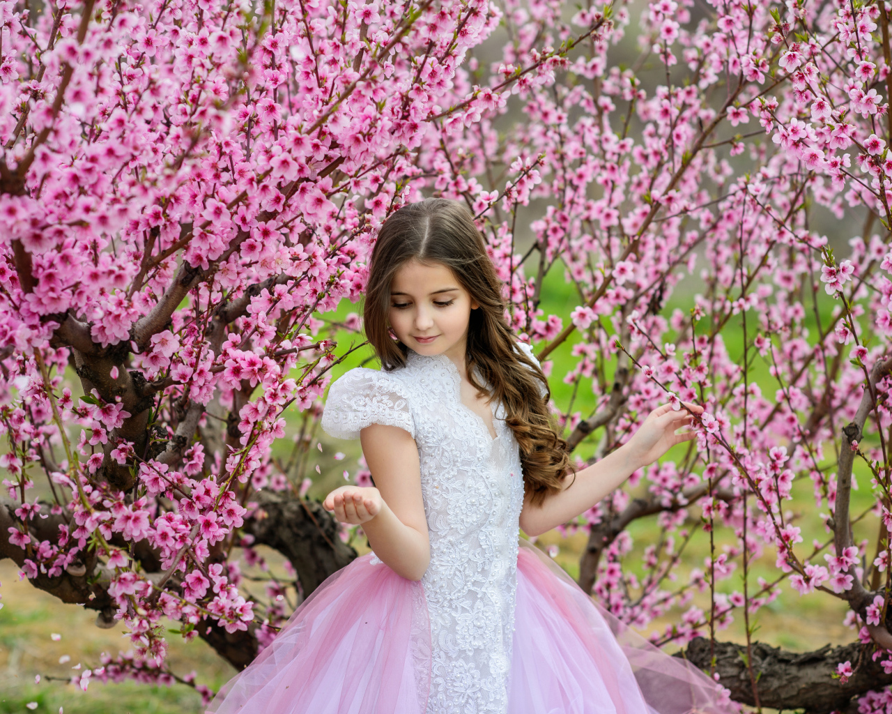 Маленькая девочка в красивом платье у дерева с розовыми цветами