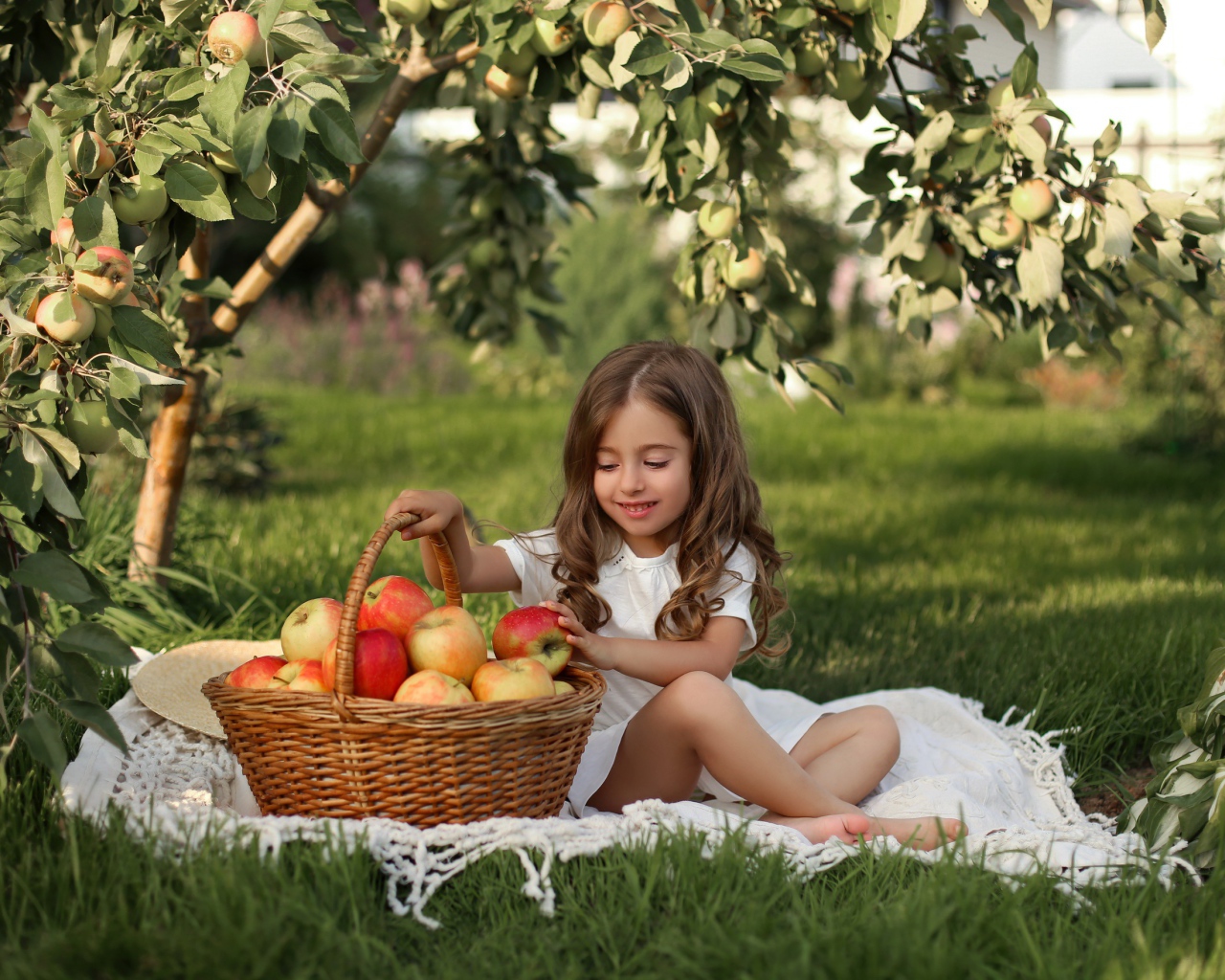 Маленькая девочка сидит с корзиной с яблоками на траве