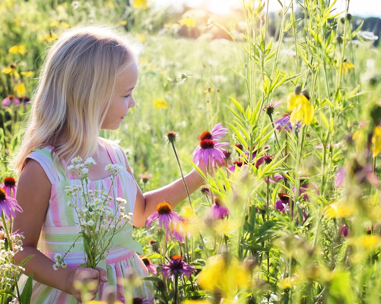 Маленькая девочка гуляет на поле с цветами эхинацеи 