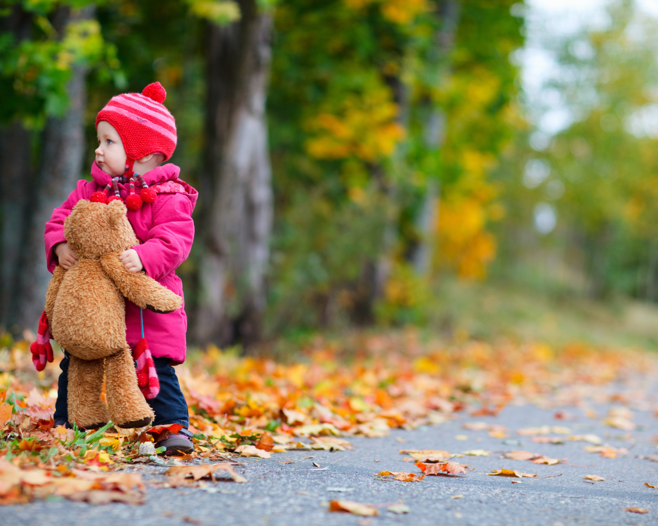 Маленькая девочка с медвежонком на дороге осенью 