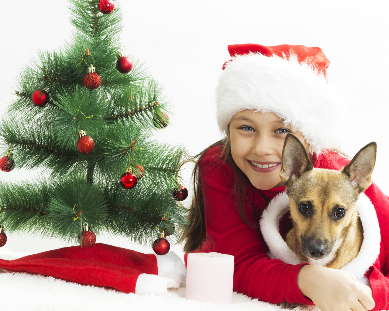 Улыбающаяся девочка с собакой у зеленой елки