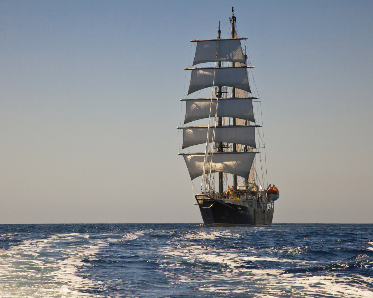 Большой корабль с белыми парусами в поле 