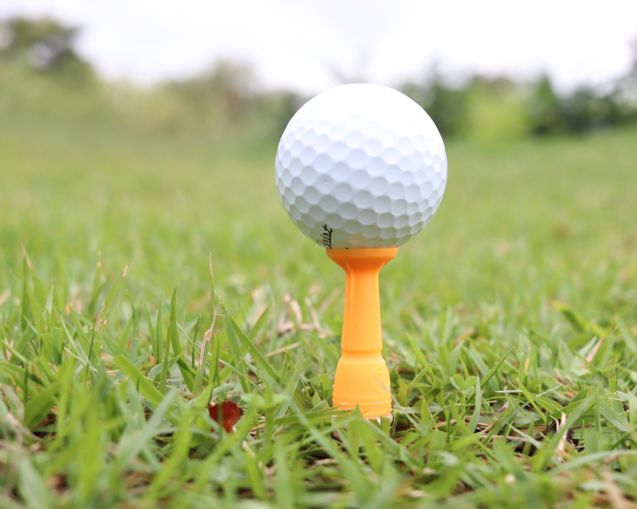 Мячик для гольфа на поле с зеленой травой 