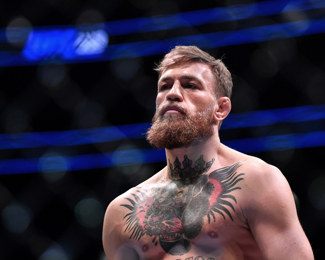 Ирландский боец Конор Макгрегор с татуировками на теле на ринге