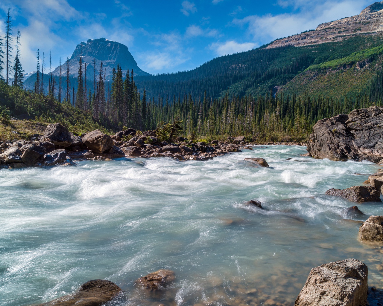Быстрая холодная горная река, Канада