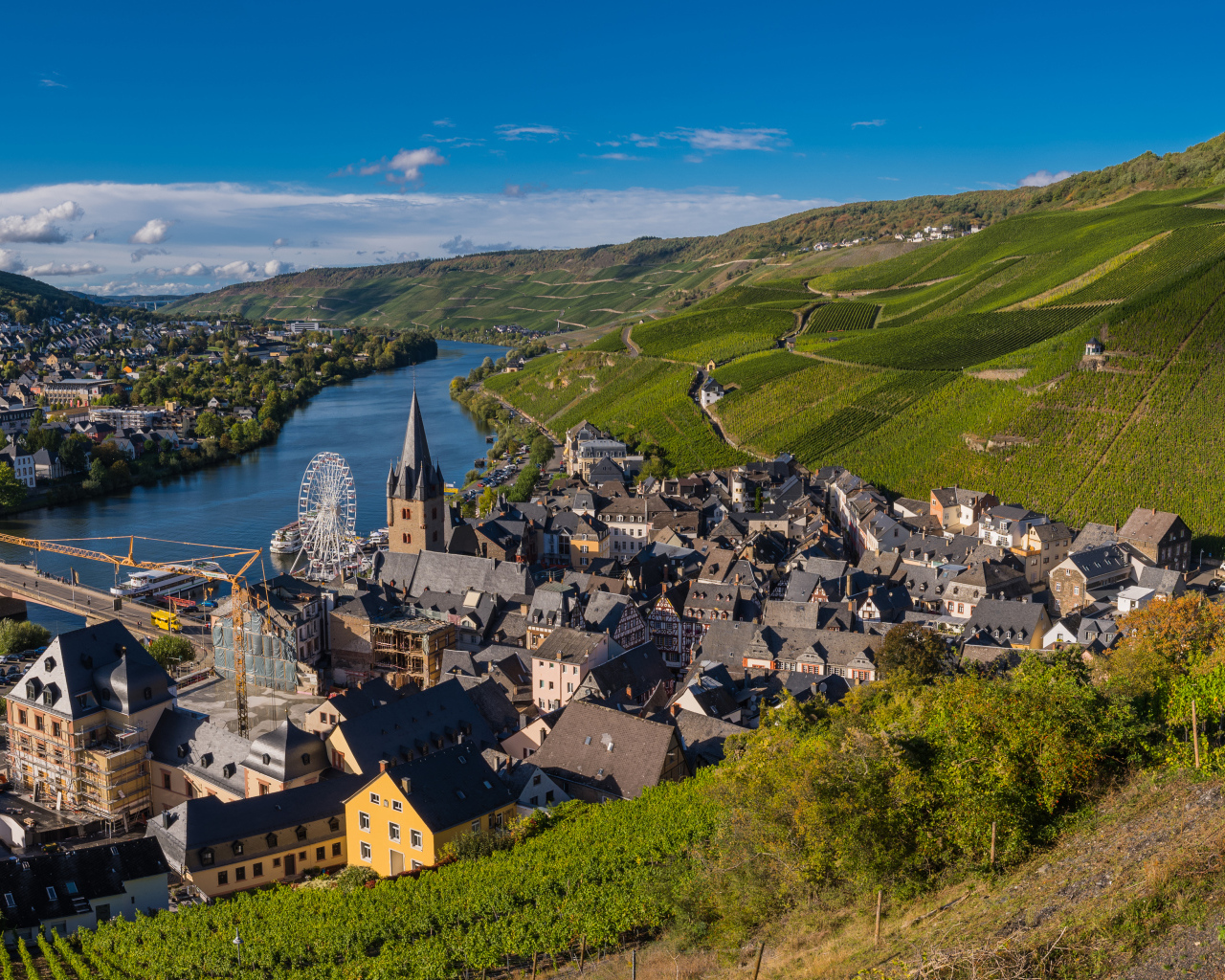 Вид город, реку и виноградник. Германия 