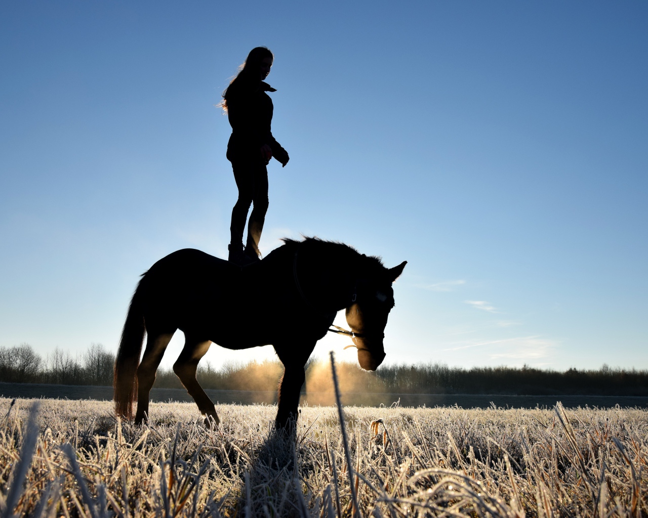 Девушка стоит на коне на фоне рассвета 