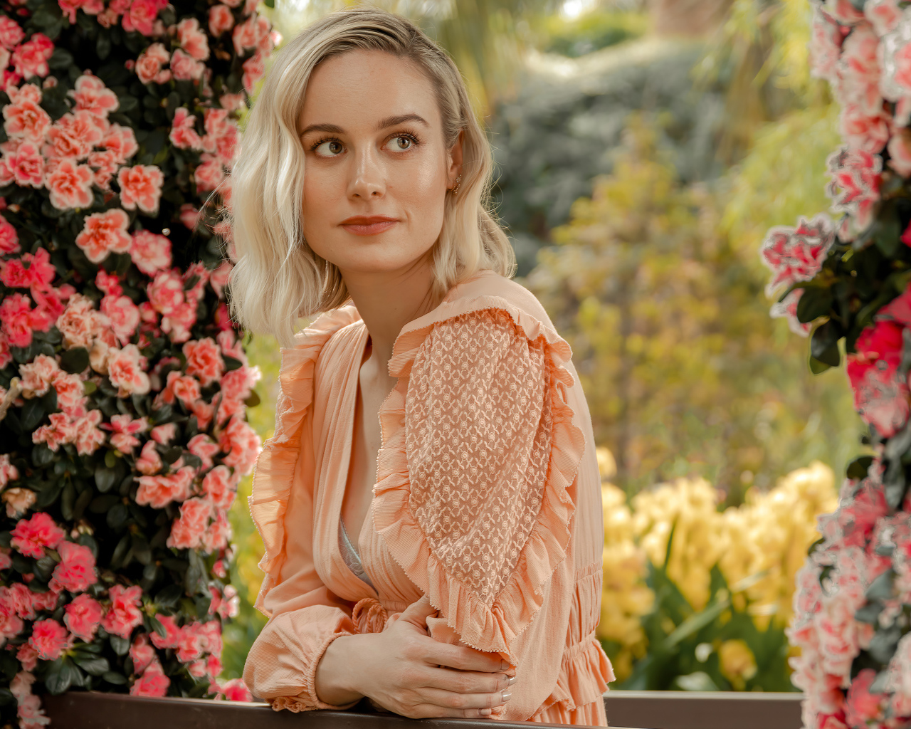 Актриса Бри Ларсон сидит у кустов с розовыми цветами