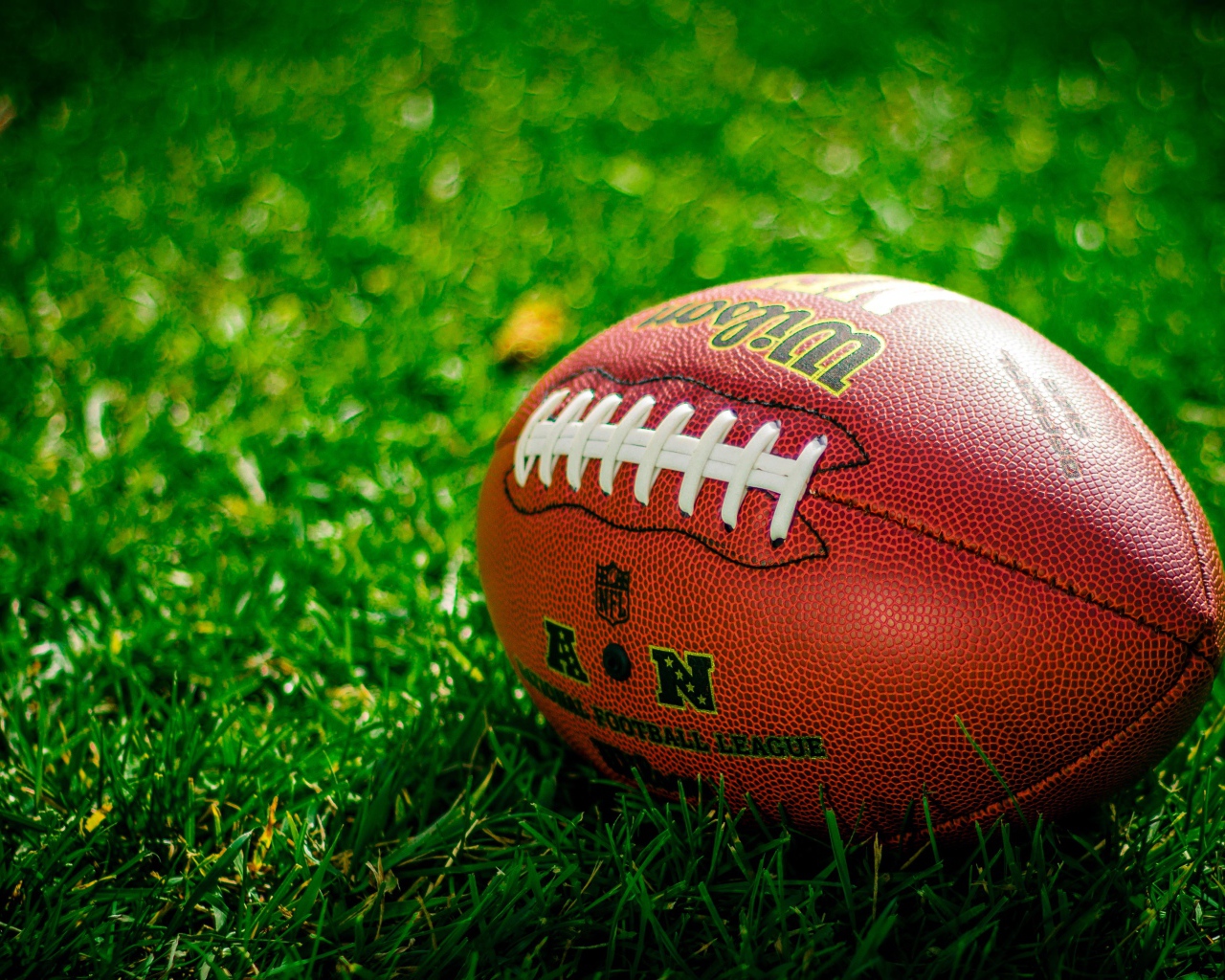 Мяч для американского футбола лежит на зеленой траве 